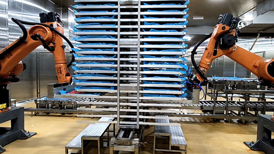 Pallet Robot Công nghệ thực phẩm KUKA KR60-3 Industrial Robot Cell
